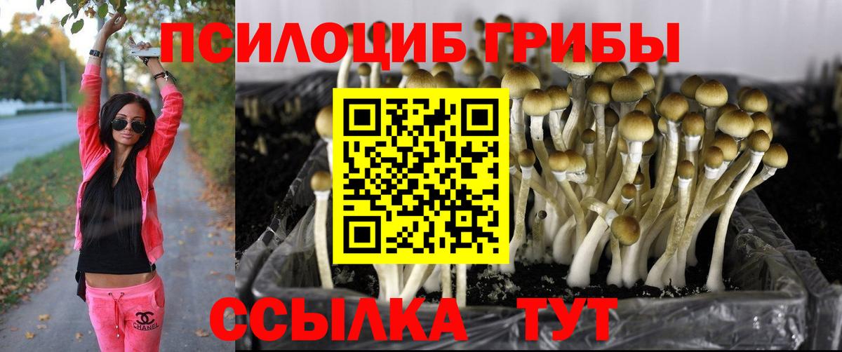 Псилоцибиновые грибы Magic Shrooms Заволжье