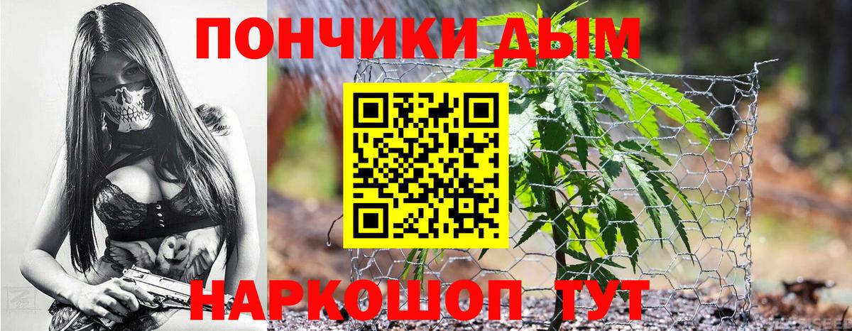 Шишки марихуана Bruce Banner  Марихуана планчик  Вход с VPN  Заволжье 